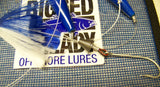 Flock of Birds Rigged w/ Small DR. J Pin Rigged w/ Bait Spring Option